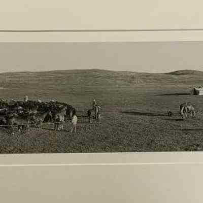 Haythorn Branding Camp