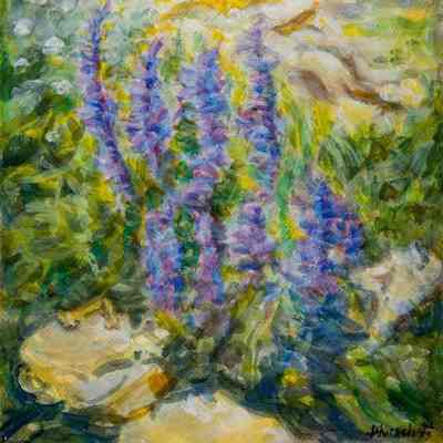 Penstemon & Other Wild Flowers on Hills