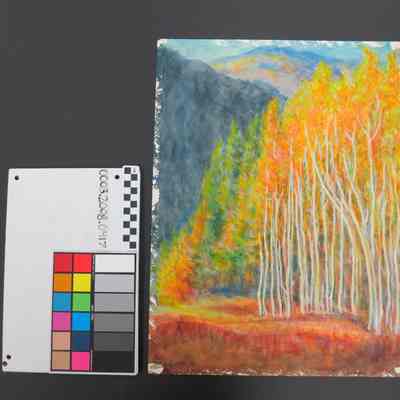 Aspens in Snowmass Canyon