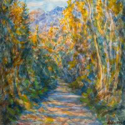 Road in San Isabel National Forest