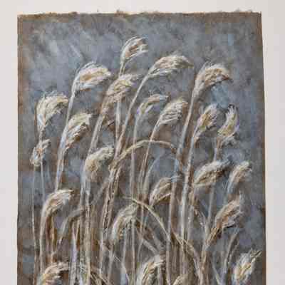 Grass Near Arkansas River