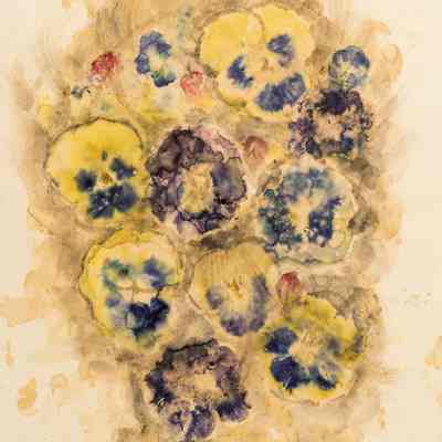 Leaf and Flower Prints