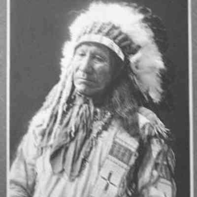 Chief American Horse, Sioux