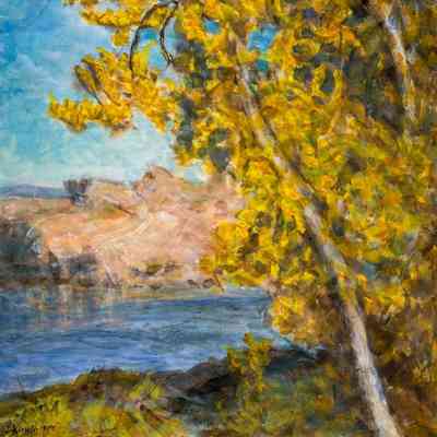 Fall Cottonwoods by Arkansas River
