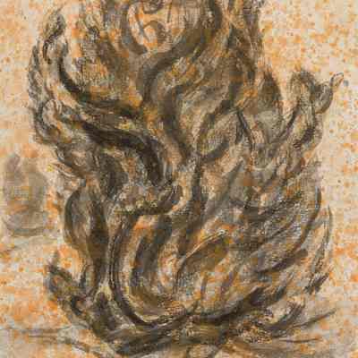 Sketch of Twisted Shrub