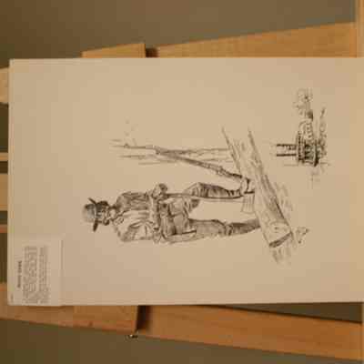 Wood Hawk