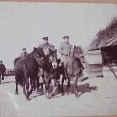 Cossacks