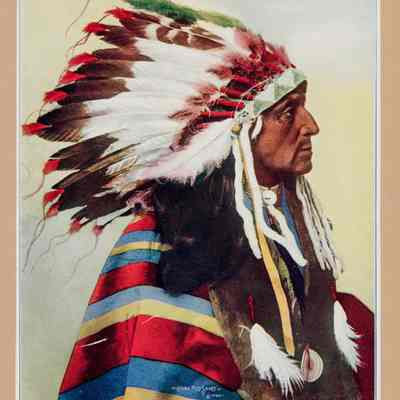 Chief Red Shirt