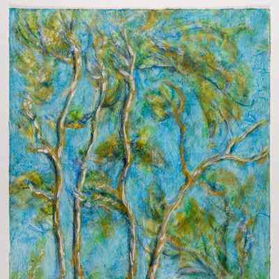 Willows and Blue Sky