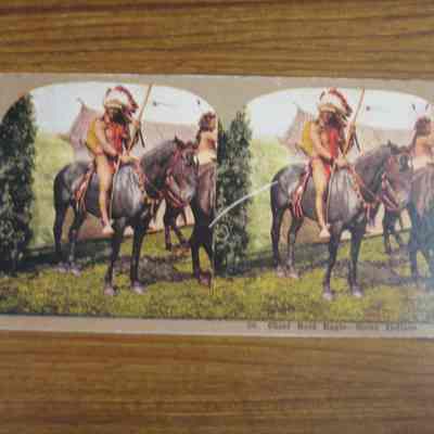 Chief Bald Eagle - Sioux Indians