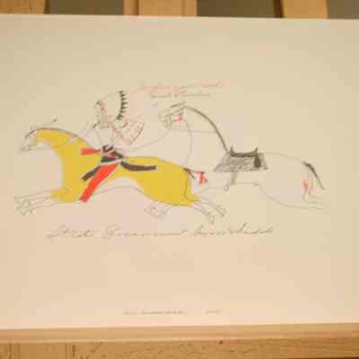 Steals Government Horse and Saddle