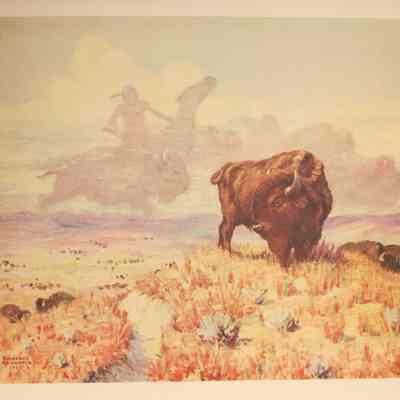 Buffalo Vision