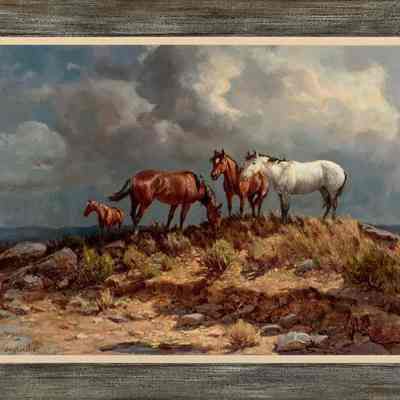 Range Ponies
