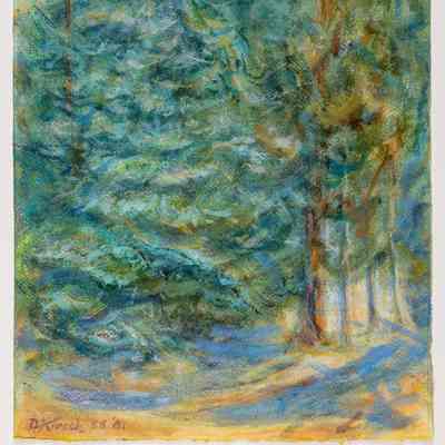 Evergreens at Central City