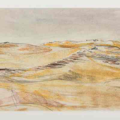 Sandhills Sketch