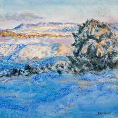 November Snow, Morning from C.S.V.H.