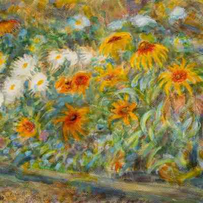 Shasta & Gloriosa Daisies