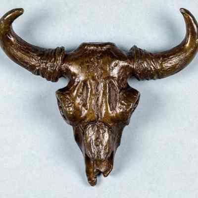 Buffalo Skull