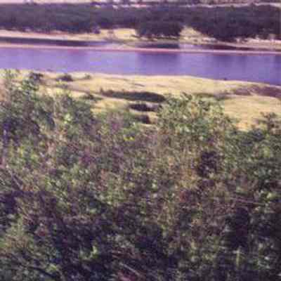 Missouri Valley near Pierre, Hughes County, South Dakota, with aromatic sumac (Rhus aromatica) and mixed-grass prairie in foreground