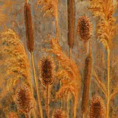 Grassses and Cattails