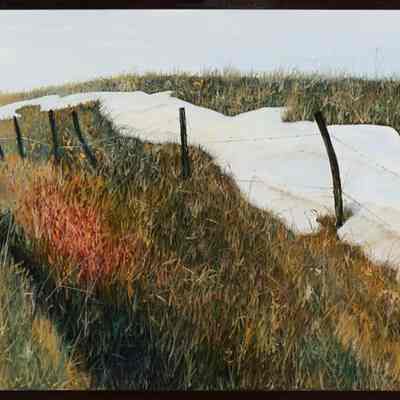 Old Snow