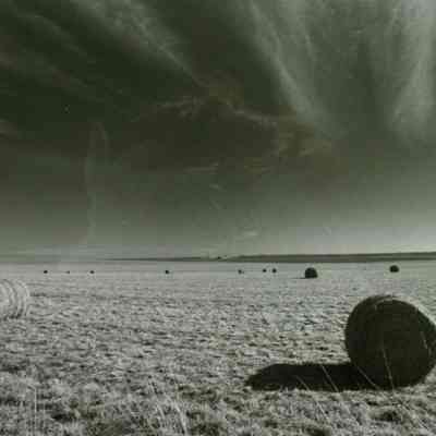 Bales and Field