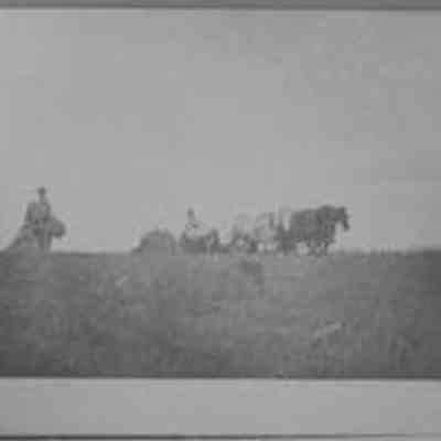 Untitled (Combine)