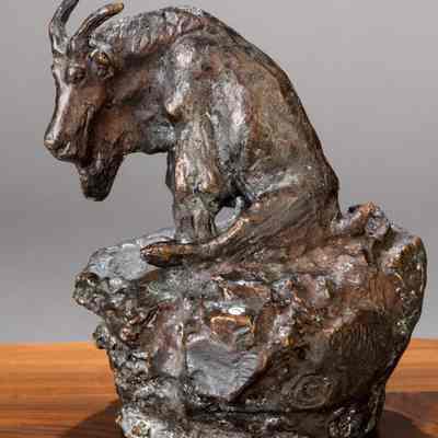 Sitting Mountain Goat