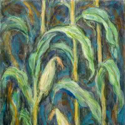 Corn Panels