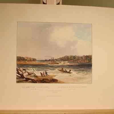 The Steamer Yellow-stone