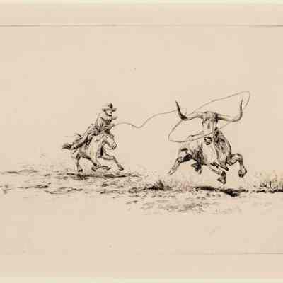 Roping a Longhorn
