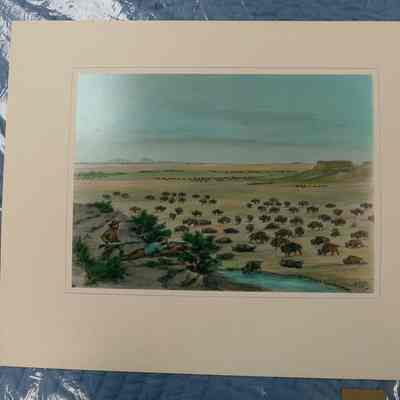 Shooting Buffalos from Ambush