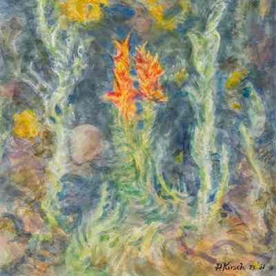 Indian Paint Brush