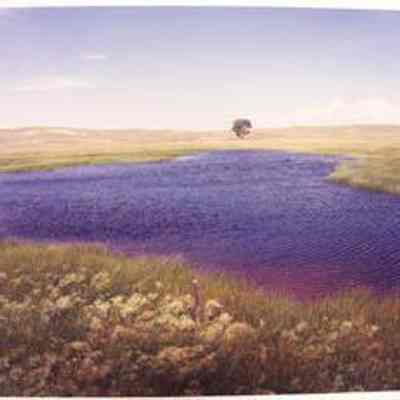 Aquifer Lake, Sand Hills, South of Rushville, NE
