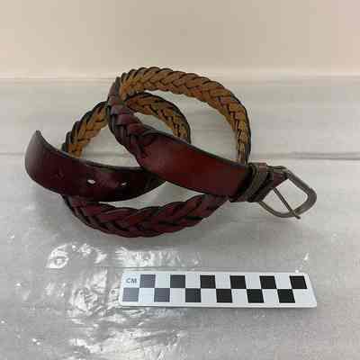 Belt