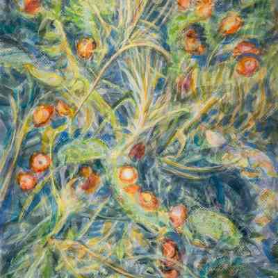 Prickly Pear Cactus with Fruits and Grasses