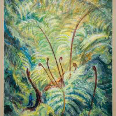 Fern Grotto #2