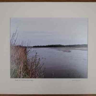 Bank of the Platte River