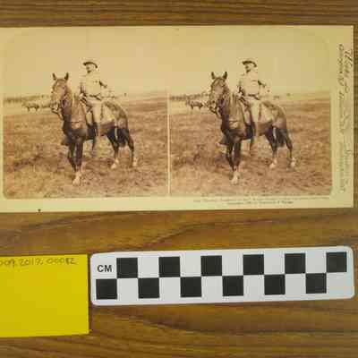 Col. Theodore Roosevelt of the "Rough Riders" -after his return from Cuba.
