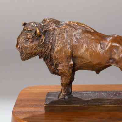 Buffalo