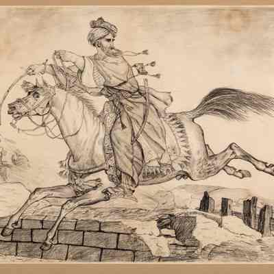 Arab Horse
