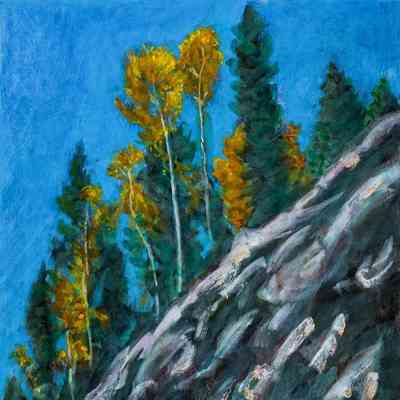 Aspen Evergreen