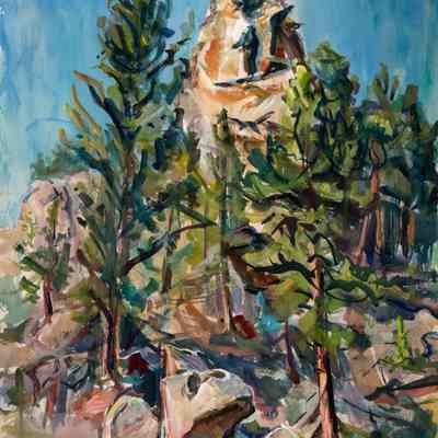 Boulders and Trees