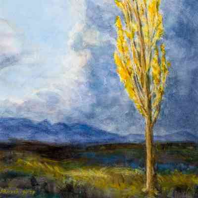 Fall Poplar and Storm Clouds outside West Solarium