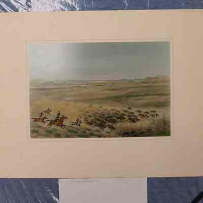 Indian Stampede Herd of Buffalo Over a Bluff