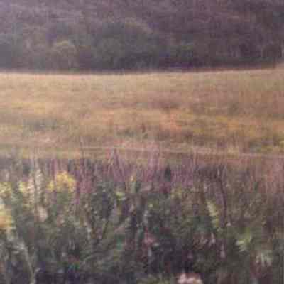Blackbird Hill, with smooth sumac (Rhusglabia) in foreground, Thurston County, Nebraska