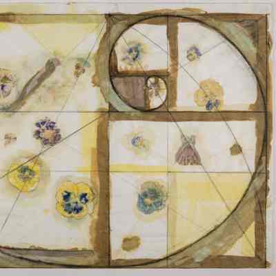 Gold Mean Rectangle & Spiral
