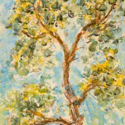 Fall Tree