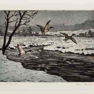 Ducks in the Meadow