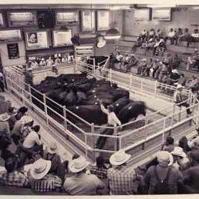 Burwell Livestock Market, Burwell, NE